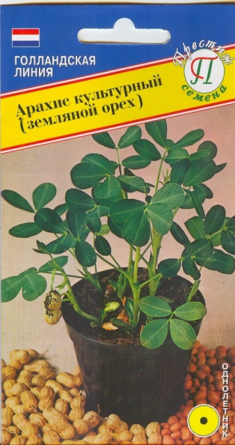 Арахис культурный (земляной орех) (РС-1), 5 шт, (Престиж Семена) Ц