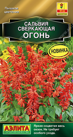 Сальвия сверкающая Огонь (Аэлита) Ц