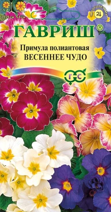 Примула Весеннее чудо (полиантовая многоцв)* 4 шт. (Гавриш) Ц