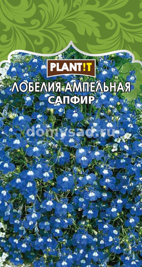 Лобелия Сапфир ампельная (PLANT!T) Ц