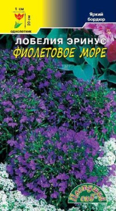 Лобелия Фиолетовое Море (Цветущий Сад) Ц