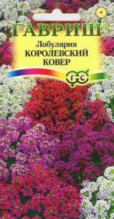 Лобулярия Королевский ковер*Сад Ароматов (Гавриш) Ц