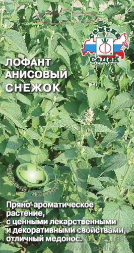 Лофант Снежок (Седек) Ц