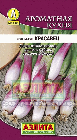 Лук Батун Красавец (Аэлита) Ц