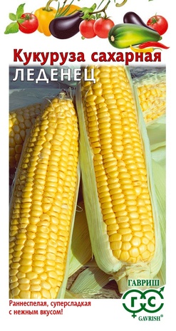 Кукуруза Леденец сахарная F1 (Гавриш) Ц