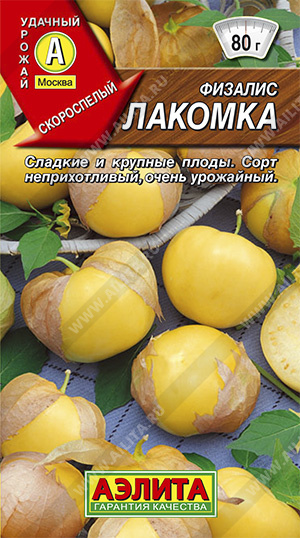 Физалис Лакомка (Аэлита) Ц