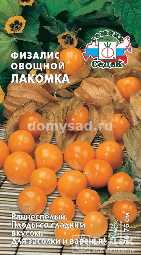 Физалис Лакомка овощной (Седек) Ц