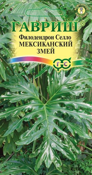 Филодендрон селло Мексиканский змей 5шт. (Гавриш) Ц