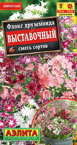 Флокс Выставочный, смесь окрасок (Аэлита) Ц