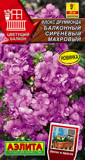 Флокс друммонда Балконный сиреневый махровый (Аэлита) Ц