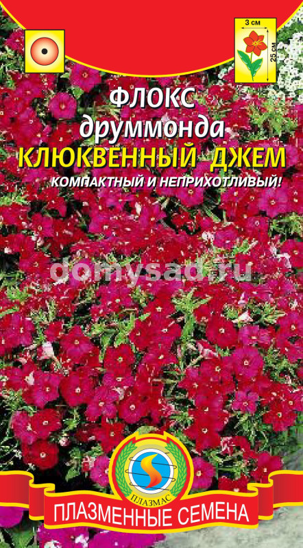 Флокс друммонда Клюквенный джем (Агроника) Плазменные семена Ц