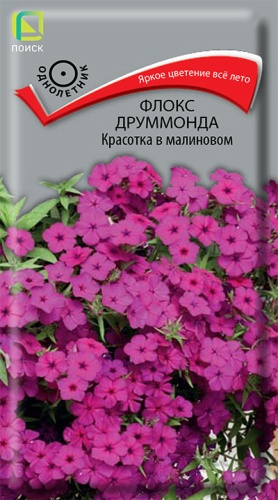 Флокс друммонда Красотка в малиновом 0,1 гр. (Поиск) Ц
