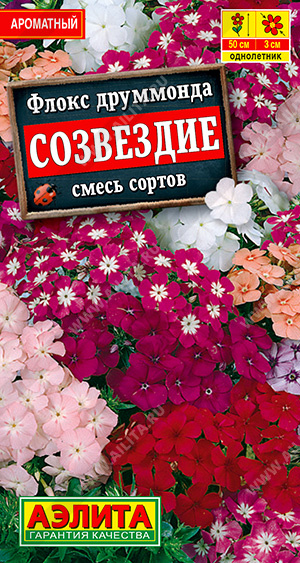 Флокс друммонда Созвездие смесь (Аэлита) Ц