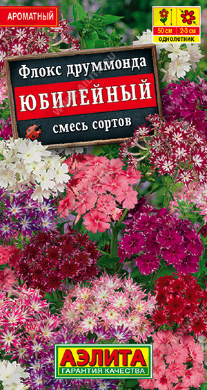 Флокс Юбилейный, смесь окрасок (Аэлита) Ц